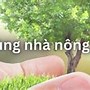 Công Ty Tnhh Thiên An Phú Thọ