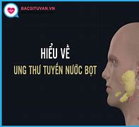 Tuyến Nước Bọt Nằm Ở Đâu